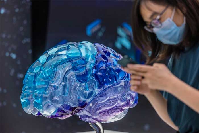 Nueva ley de Colorado protege los datos del cerebro humano
