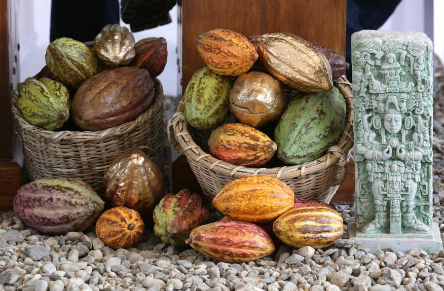 Sector del cacao celebra en Bruselas su quinta conferencia en momento de precios récord