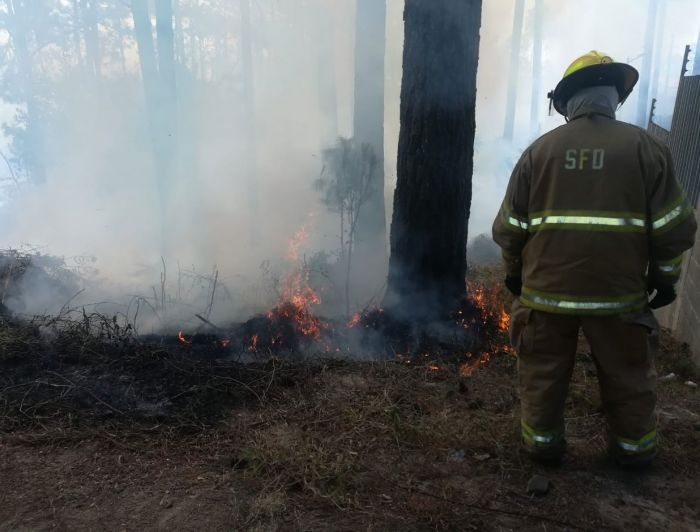 Unas 15 viviendas en riesgo por incendio forestal en El Ocote