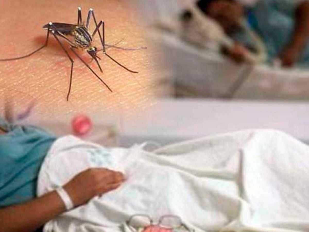La diputada Suyapa Figueroa advierte sobre la grave amenaza del dengue y llama a la acción