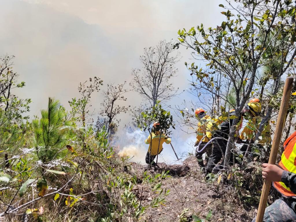Casi dos mil incendios forestales se han registrado este año en Honduras