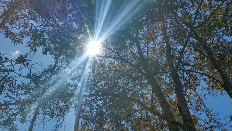 Condiciones secas en todo el país las temperaturas máximas oscilaran  entre 31 y 40 grados