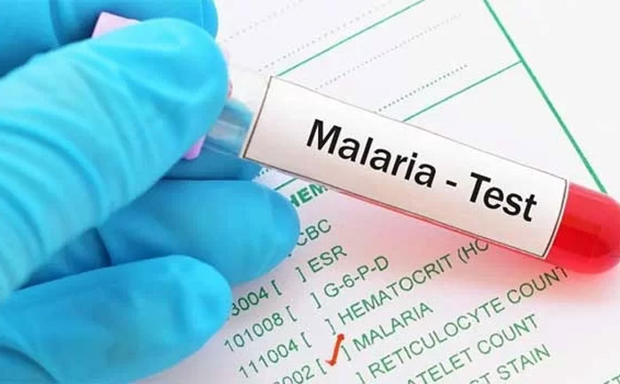 OMS pide acelerar la lucha global para lograr la eliminación de la malaria antes de 2030