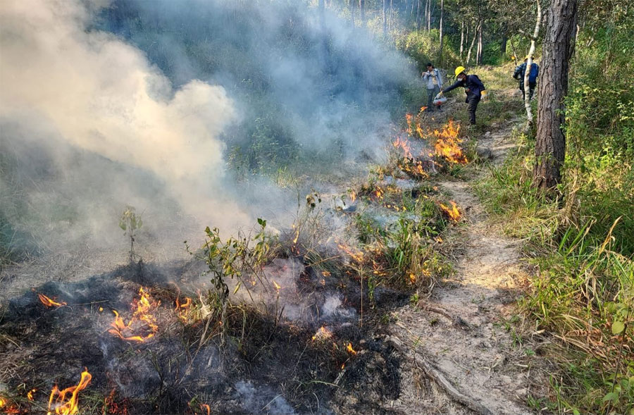 Sube a 150 mil las hectáreas de bosque afectadas por incendios forestales en Honduras