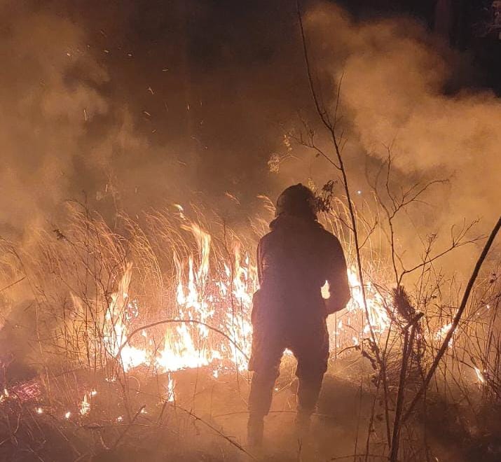 El Cuerpo de Bomberos trabaja para controlar incendio en Cerro Azul, carretera a Santa Lucía