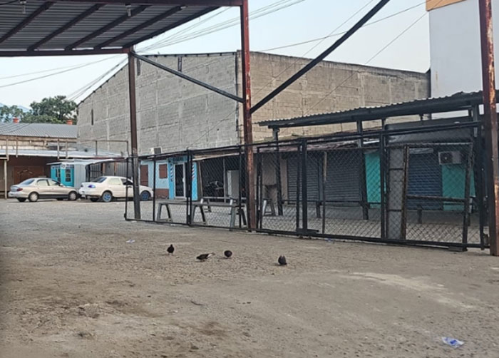 Vacía terminal de buses tras asesinato de operario en San Pedro Sula
