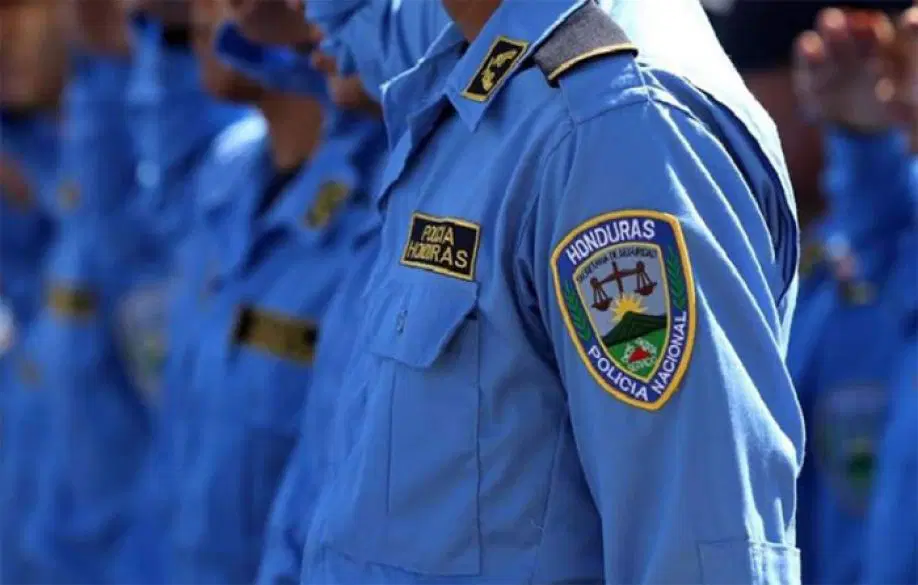 En lo que va del presente año 294 policías han sido separados de la institución