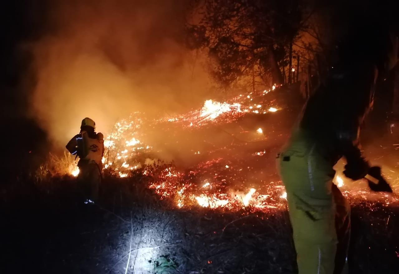 Incendio en la cuesta de El Ocote, San Juan de Flores, sigue activo, informan Bomberos