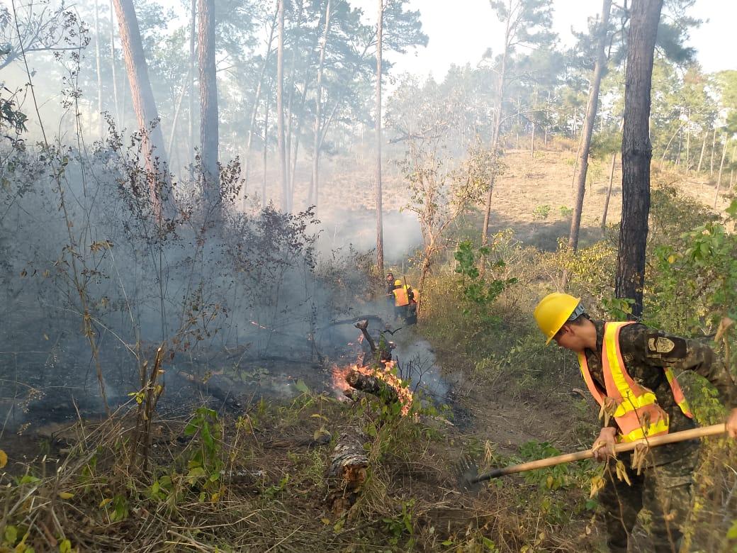 Veinticuatro detenidos, por provocar incendios forestales, reporta FFAA